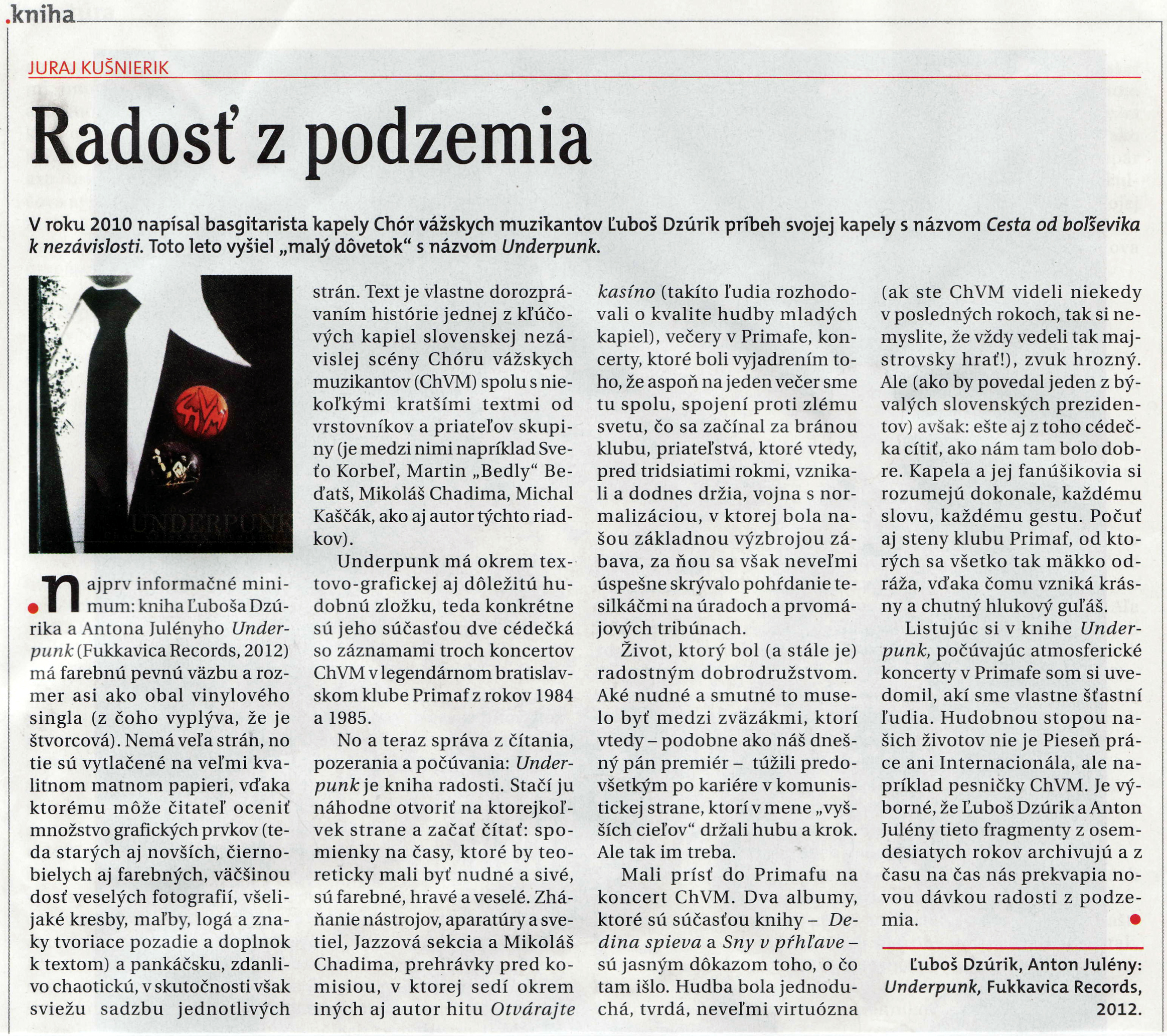 .recenzia .juraja kušnierika na knižku Underpunk